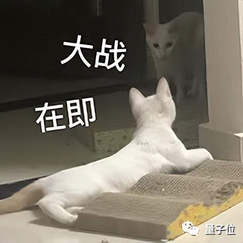 王慧文再融16億！大模型創(chuàng)業(yè)百天成獨角獸，騰訊押注，快手創(chuàng)始人入股