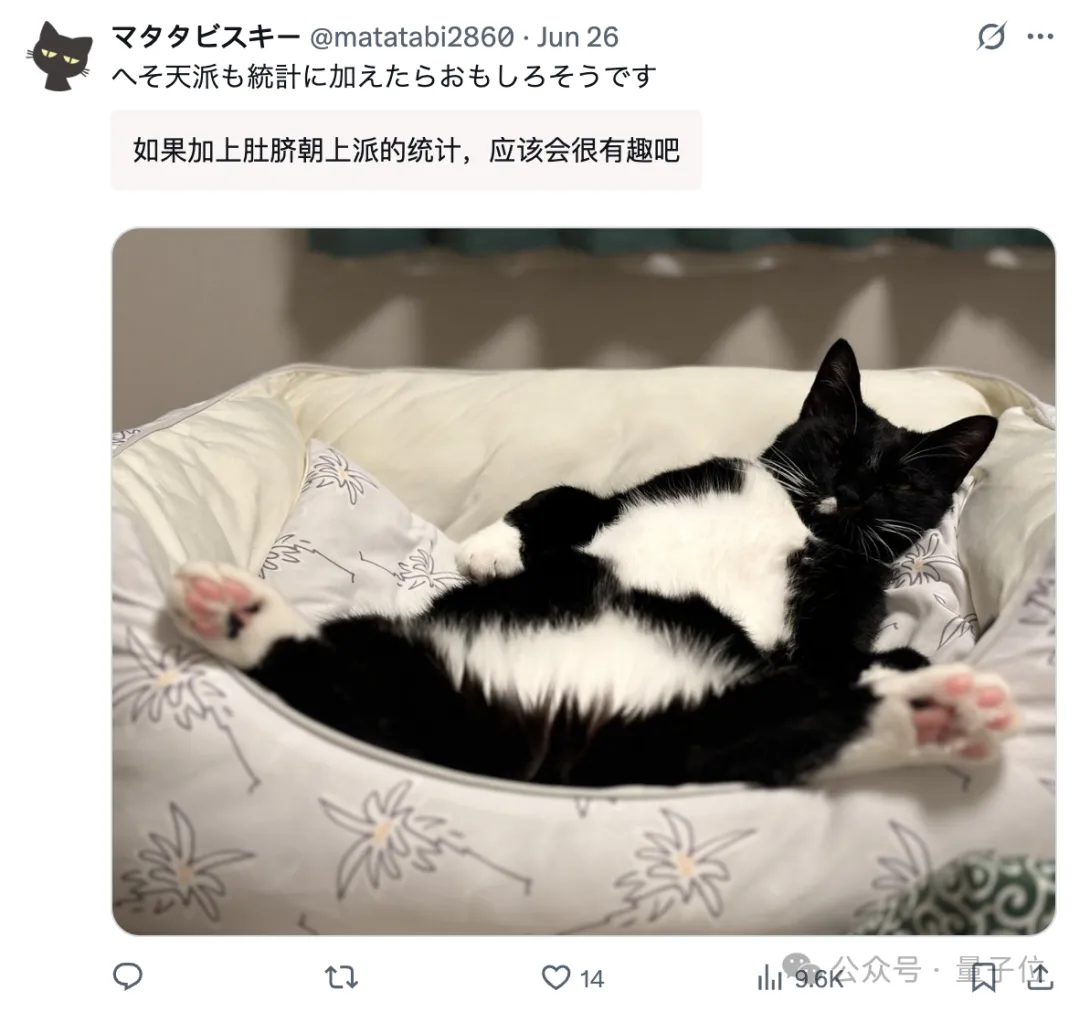 貓貓睡覺睡上頂刊:三分之二的家貓都傾向于向左睡