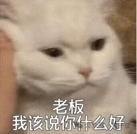 一份假簡歷領5份硅谷AI工資，印度老哥真是不得了