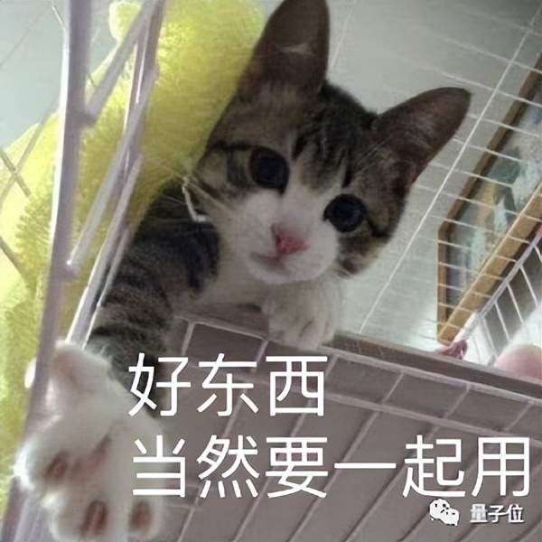 沒繃住，vivo提前“泄密”大模型能力