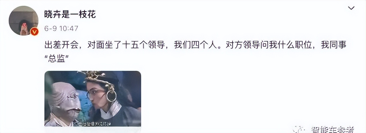 趙曉卉一句話，數(shù)百萬網(wǎng)友操碎了心