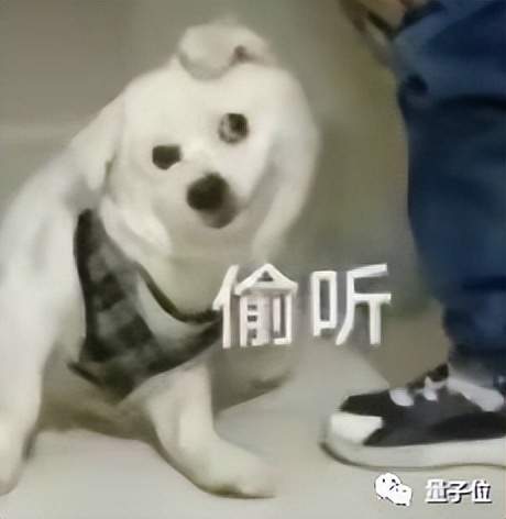 10人倆月搞出大模型！一年16篇頂會(huì)論文：市面上做得好的都沒(méi)開(kāi)源