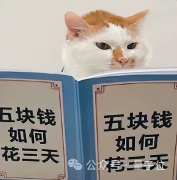 流體力學專用版DeepSeek，單GPU可跑，成本節(jié)約高達100倍
