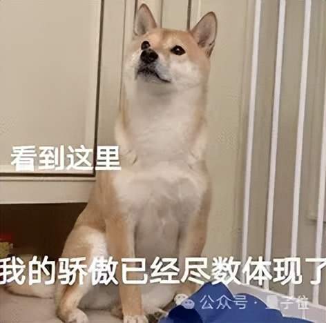 讓宇樹機器狗在北大未名湖畔撿垃圾，銀河通用干的