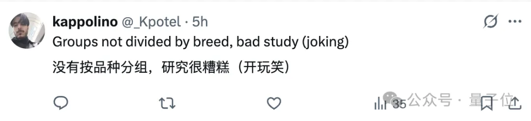 貓貓睡覺睡上頂刊:三分之二的家貓都傾向于向左睡