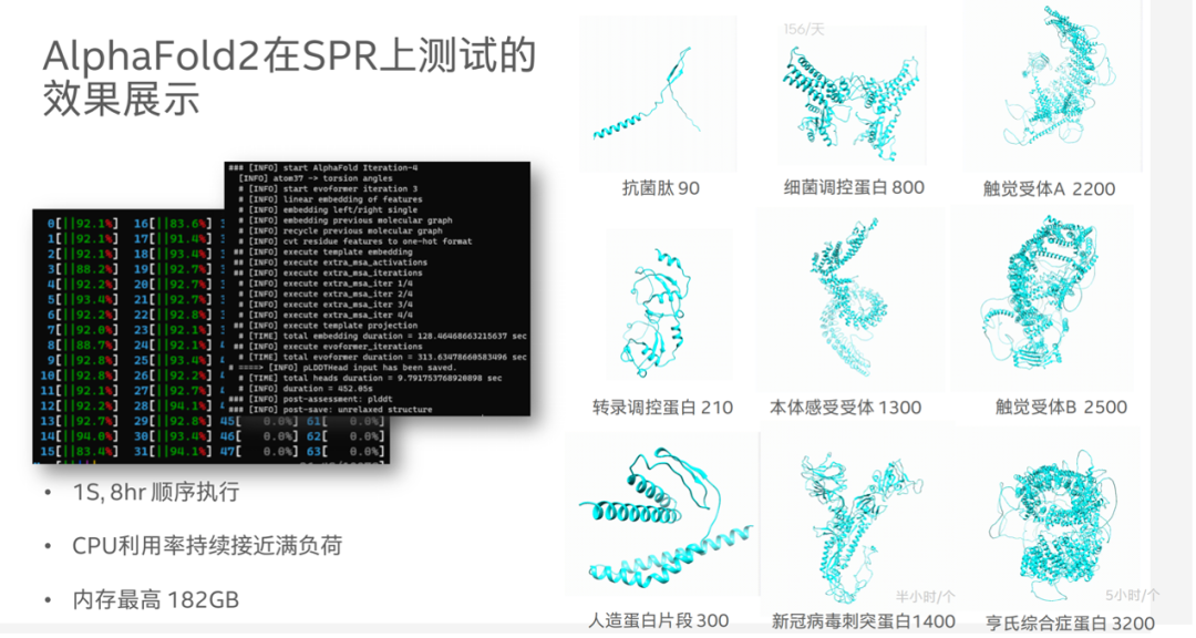 預(yù)測超長蛋白質(zhì)這事，CPU贏了