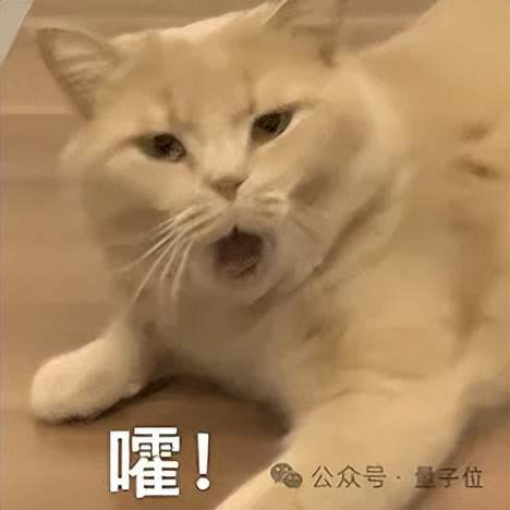 小扎自曝挖人秘訣：小團(tuán)隊(duì)我親自帶，豪擲數(shù)百億建GW集群，大家不圖天價(jià)薪酬只為“造神”