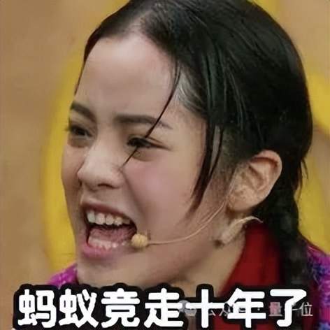 被拒稿11年后翻盤獲時(shí)間檢驗(yàn)獎(jiǎng)，DSN作者謝賽寧：拒稿≠學(xué)術(shù)死刑