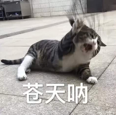 AI搜索一夜變天，專為Agent做搜索的賽道能否誕生百億美金新巨頭？