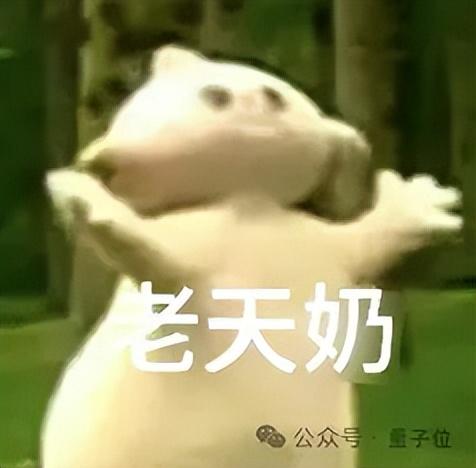 大模型權(quán)威測(cè)試被曝翻車(chē)！偏袒GPT-4等閉源模型，提示詞區(qū)別對(duì)待