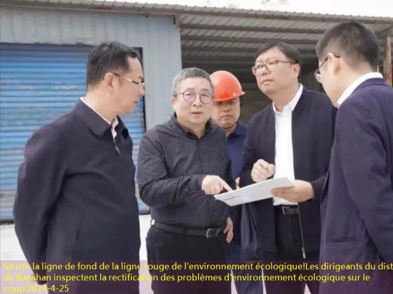 Stricte la ligne de fond de la ligne rouge de l’environnement écologique!Les dirigeants du district de Baoshan inspectent la rectification des problèmes d’environnement écologique sur le coup